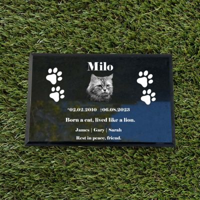 Customized Cat Memorial Stone With Portrait Engraved On Premium Black Granite